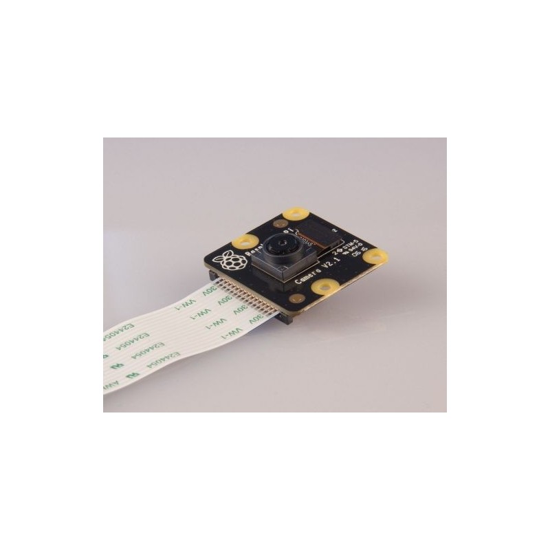 Raspberry Pi PiNoir camera V2 Raspberry Pi PiNoir camera V2