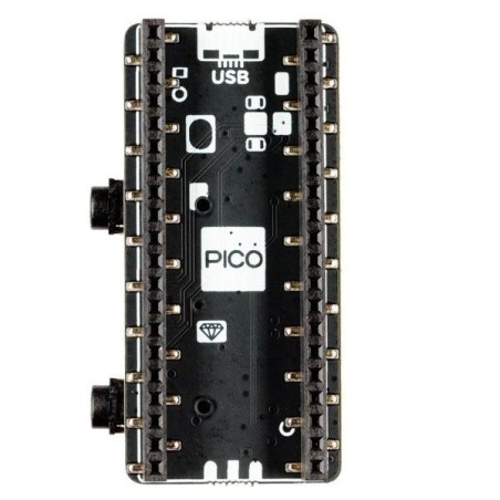 Pico Audio Pack (Line-Out and Headphone Amp) - Pim 544