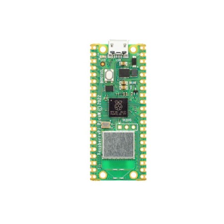 Raspberry Pi Pico W