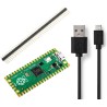 Pico essentials kit