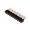40-pin GPIO Stapel Header - 2x20 Female