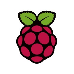 Sticker Raspberry Pi Logo