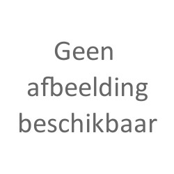Berlicum